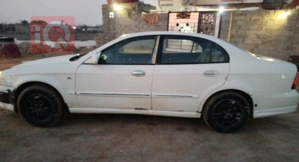 دايو ماغنوس